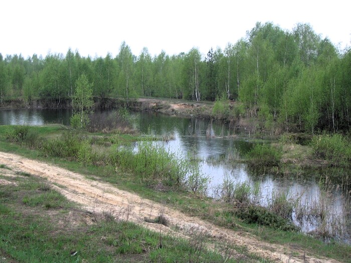 Майский дождь