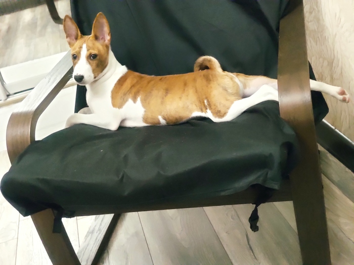 ����� (4.5 ������)