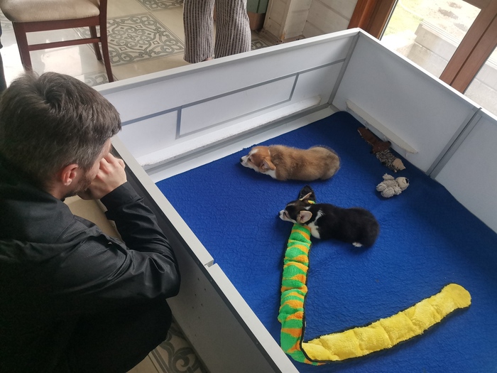 Знакомство и сборы домой