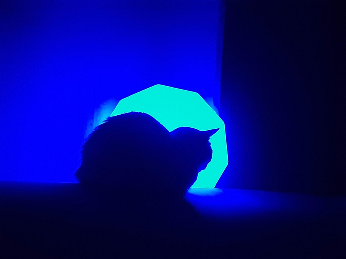 � � ���� ���� ���������