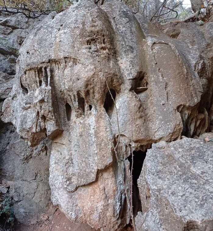 �� ������������� �������� "�����"