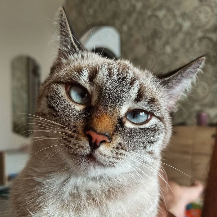 �� ����?