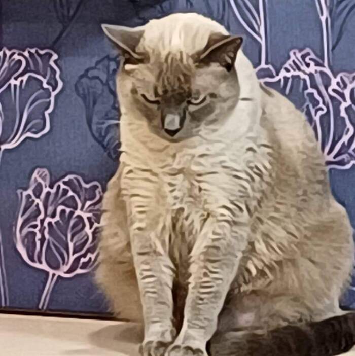  ! ,  , 