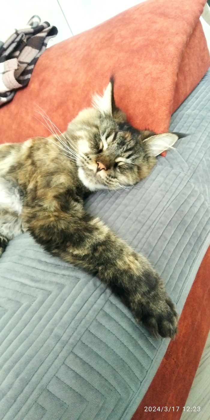 �������� ������ ��������