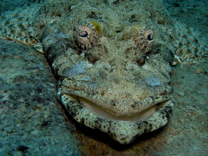 Это я в 3 часа ночи залипаю в телефон и стараюсь не думать, что спать осталось всего 3 часа.