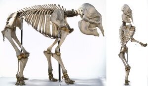 "����� �������" � ����������� � �� ����� ����