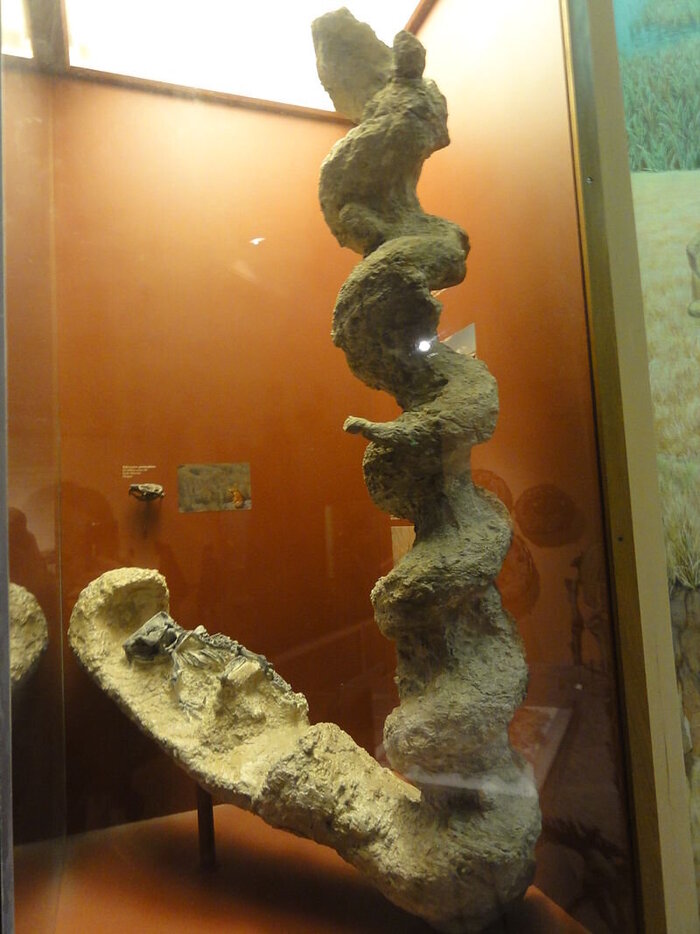 "����������� ������" � ��������� ������������