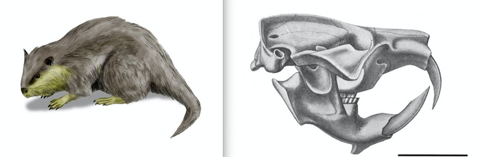 �����������. ������������� ��������������� ������ � ����� ������