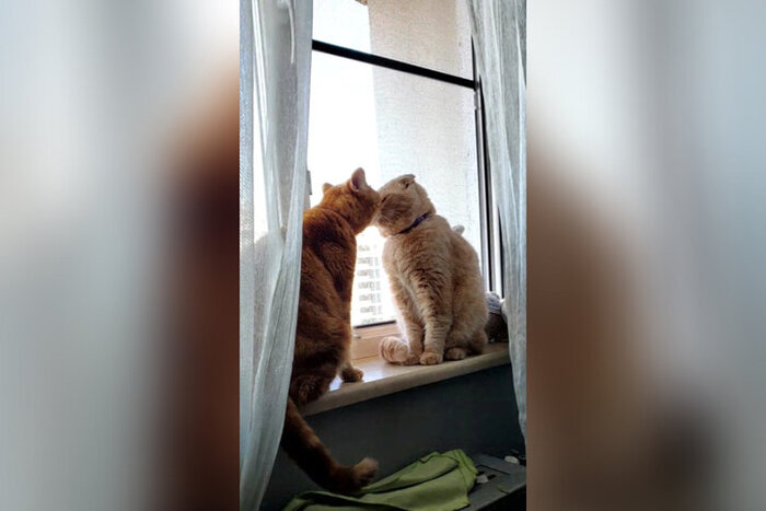 С новым другом Мэйсоном.