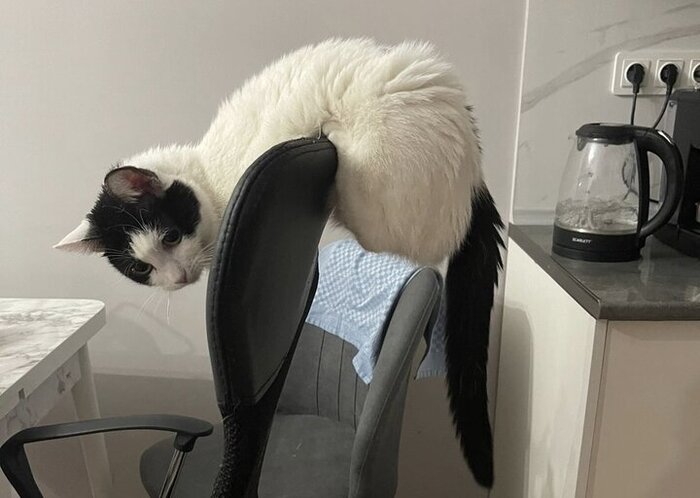 Игривое настроение