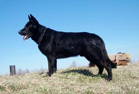 ��, ����� ����� ��� ���. � �� �������� �� �����! ��� �� ������� ��� ��� ������ �����, ��� ��������� �������. / ���� � ���������. �����-�� ����a���� ����������.