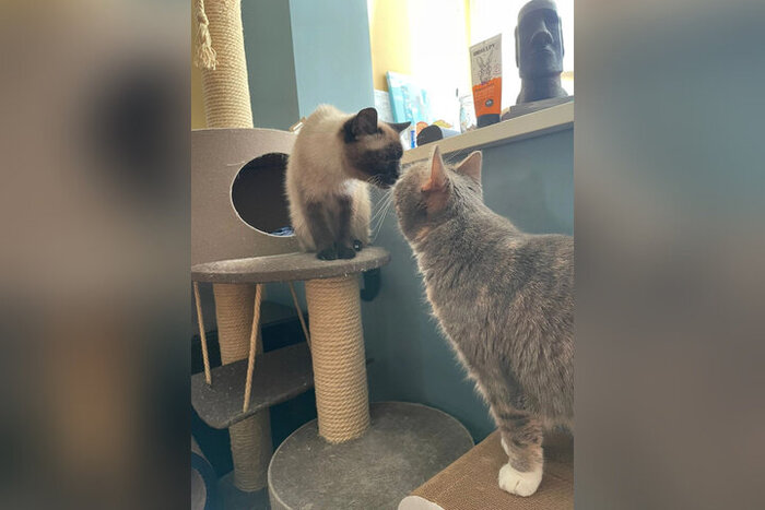 Первый шаг к взаимопониманию...