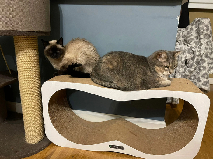 Вдвоём ведь и веселее и теплее!