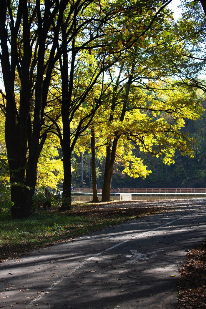 Canon 1100d - ƒ/5.0 | 1/250 | 39mm | ISO 200