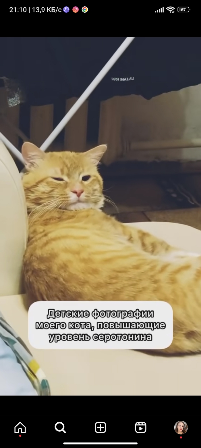   )  , , ,  (), 