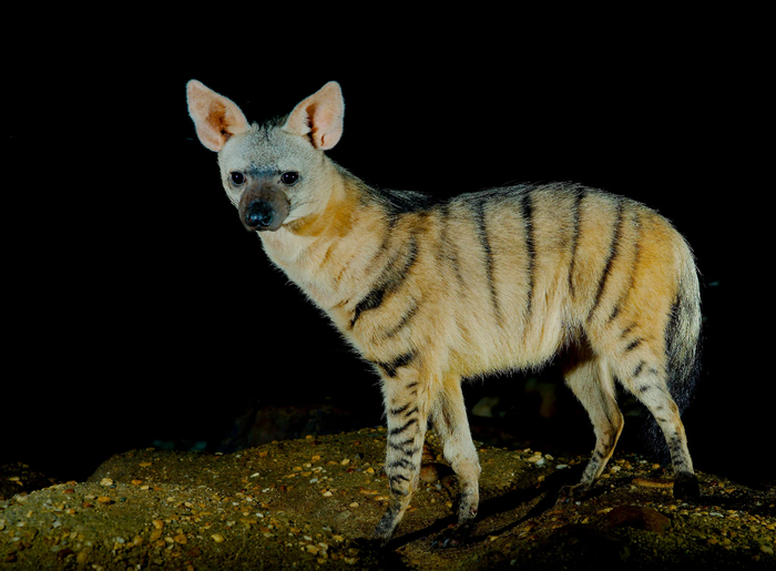 Самый странный парень из школы, и кем он стал.
