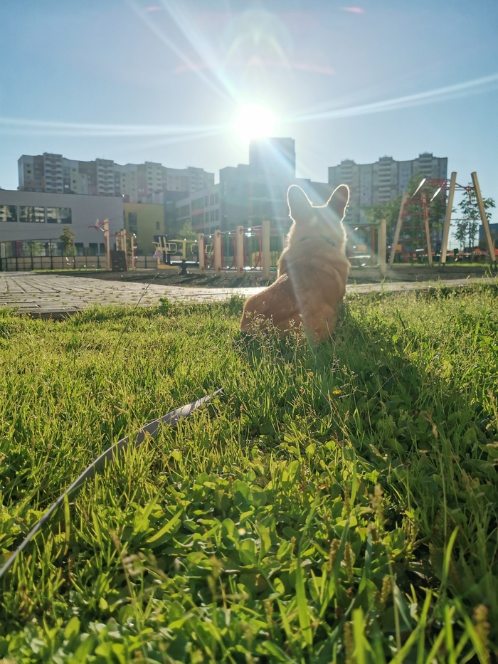 Встречаем рассвет. А кошатники спят и не знают.