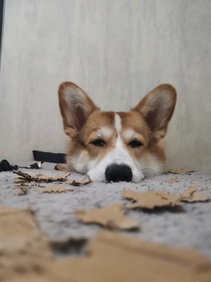 Контролируемые разрушения - выдаю коробки на растерзание. Своей работой удовлетворён.