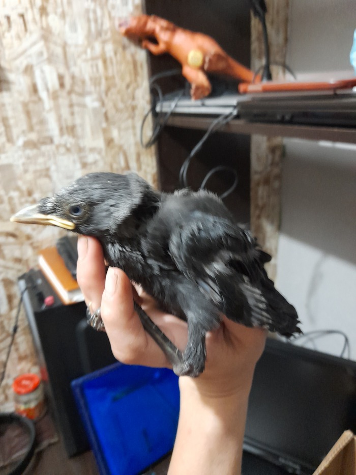 ����� �� � ���� ��������. 