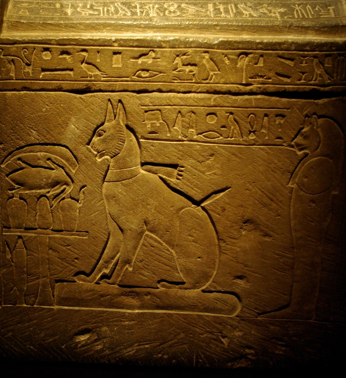 Саркофаг кошки Та-Миит