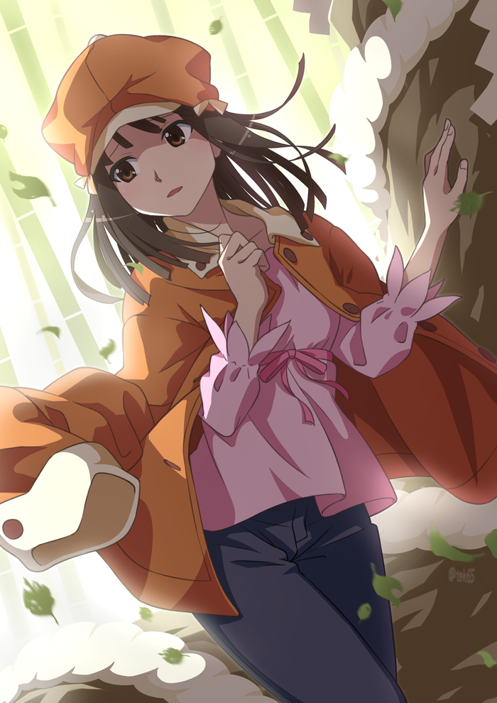 Sengoku Nadeko