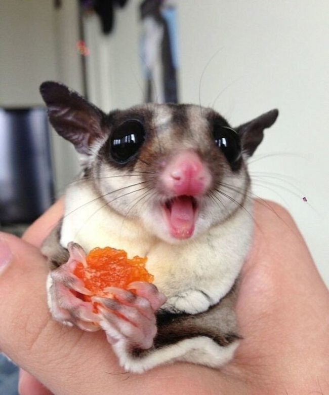 Я за завтраком смотрю телик