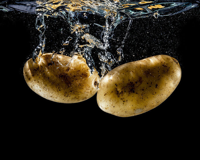 Пьют ли рыбы воду? Книга животных, Рыба, Морские обитатели, Детская литература, Образование, Вокруг света, Биология, Культура, Детский журнал, Научпоп, НаукаPRO, Длиннопост