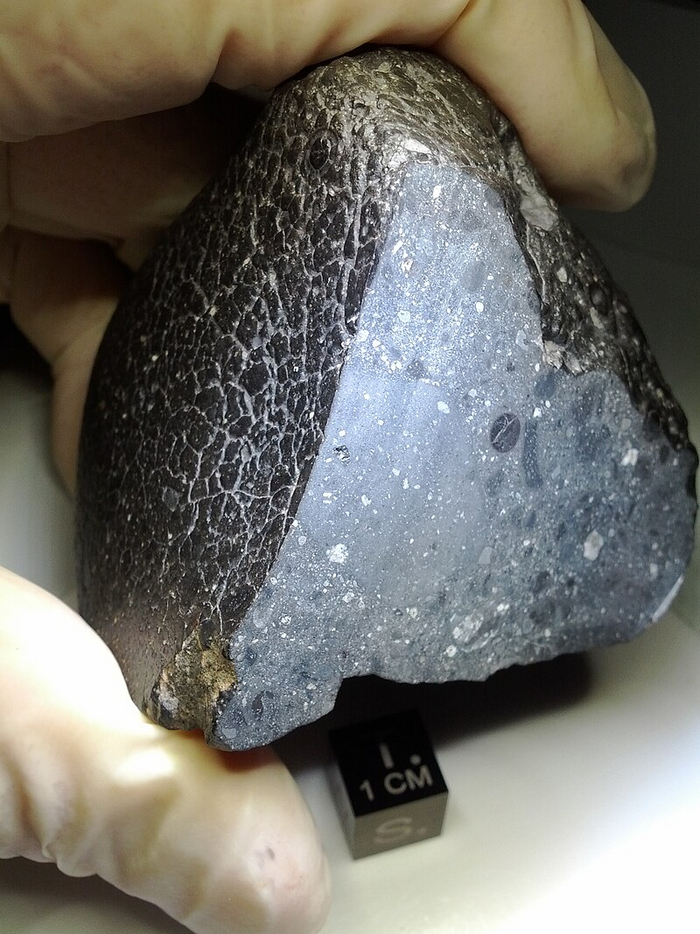 Black Beauty (NWA7034). Фото: Carl Agee, University of New Mexico (2012)
