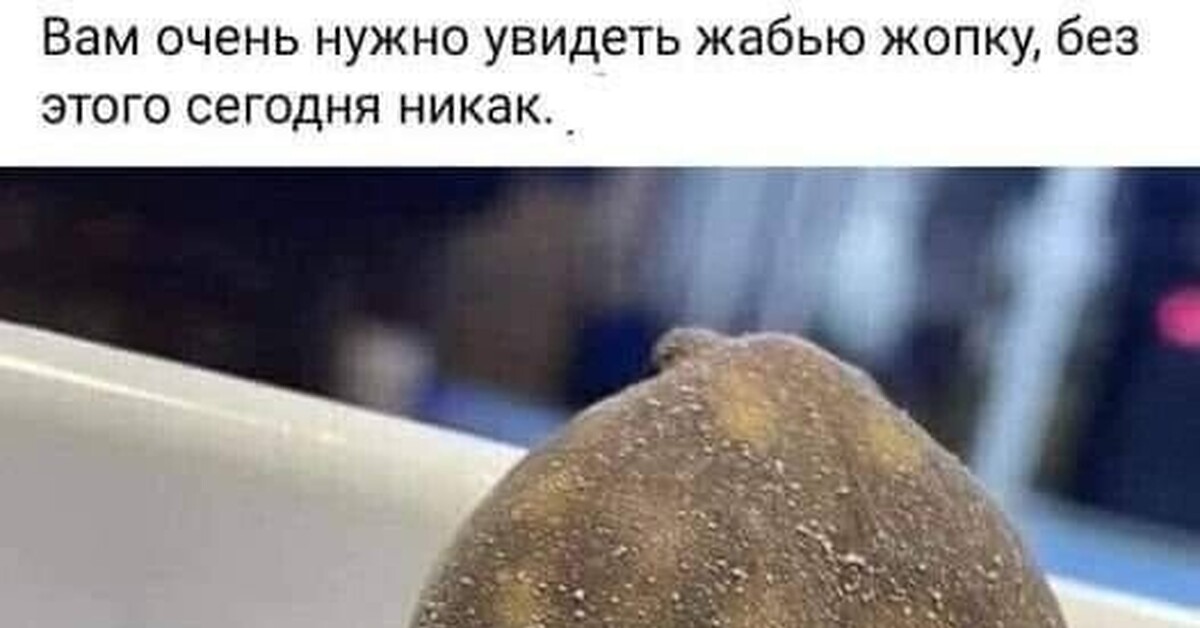 Жпка | Пикабу