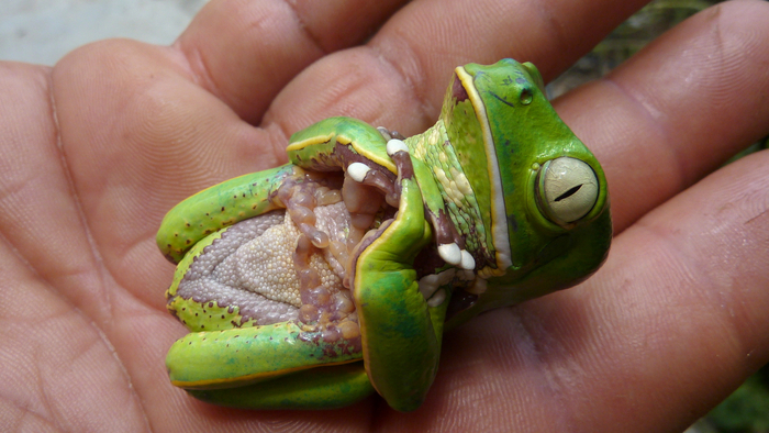 Оскар за правдоподобность!