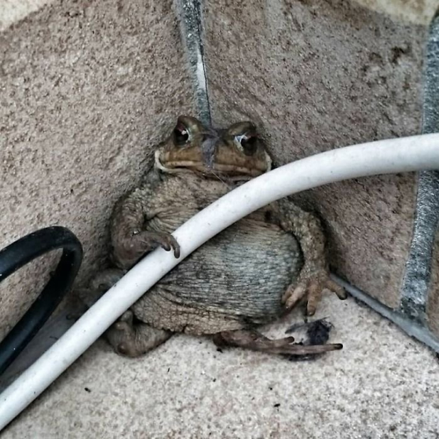 ��� � ������ ����� , ��� �������� !