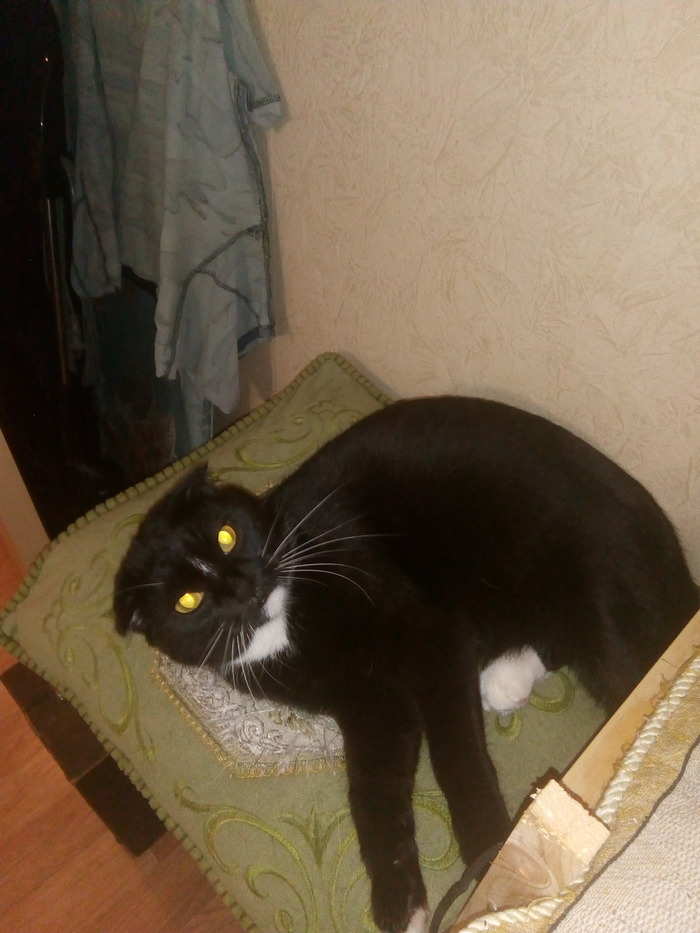 ����� ����� �� �� ��� � ���� ������ ����������. � ������� - �� ��, ��� �� ���������� � ���� ������.