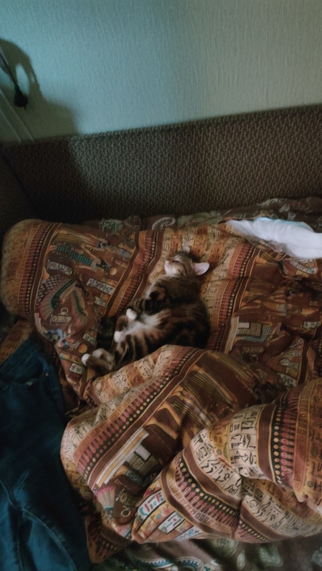 ������� � ���� ���������