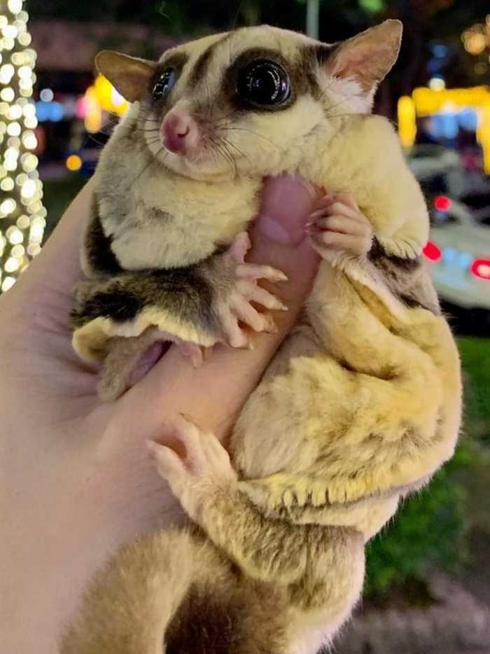 А это я знаю что ) . Это слоёная булочка )))