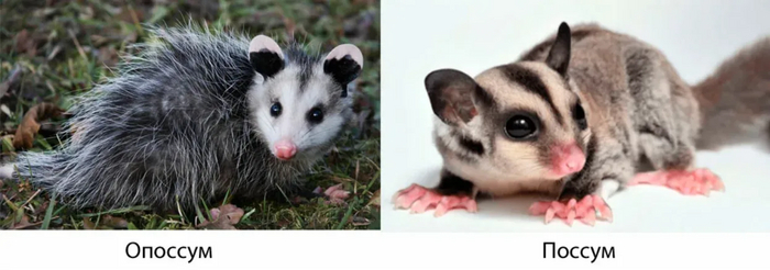 И кстати при мне их путать не стоит !