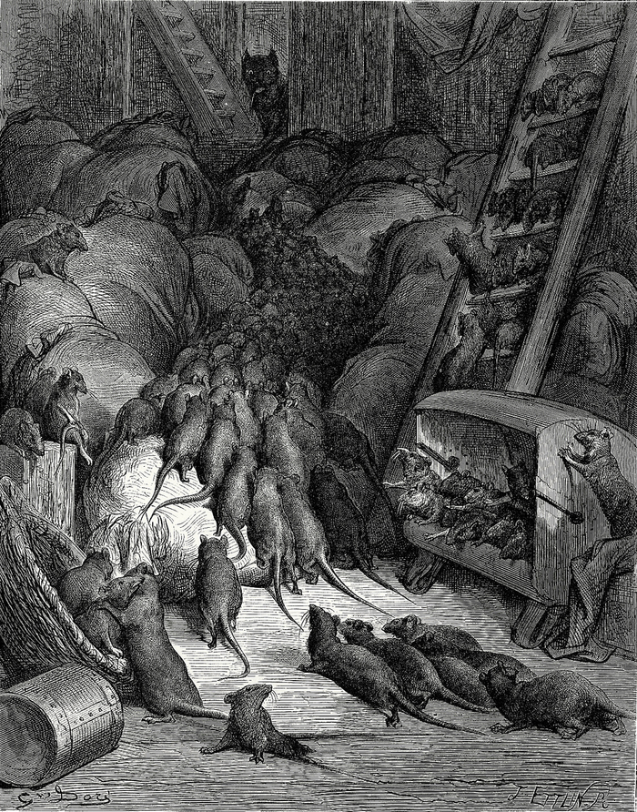 ����������� ����� ����� ��������� �����