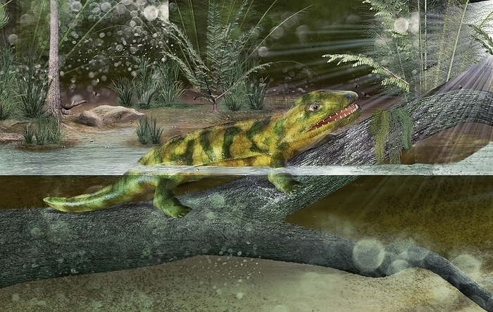 ��������� ��� ��� ���������, �� ������� ��� ��� ���� ��������!