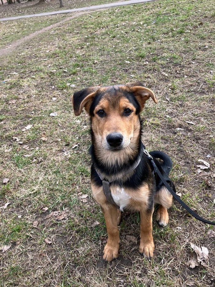 ������� � ��������