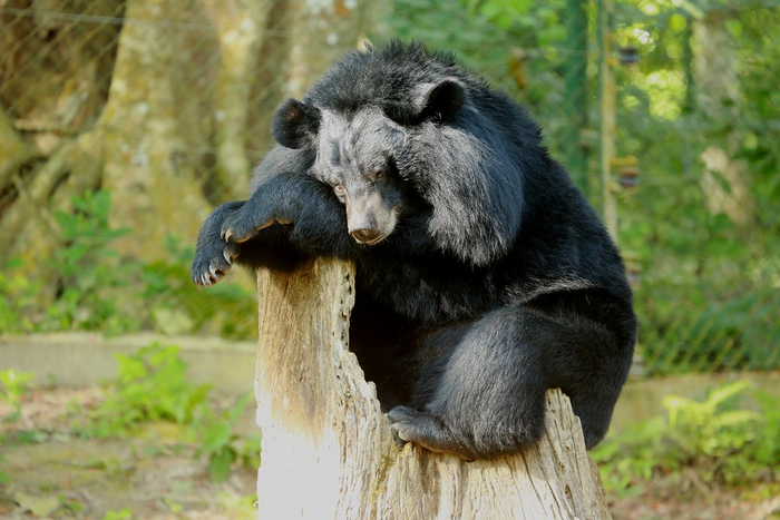 Сфоткай, типа я красотка с сайта знакомств.