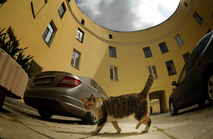 зенитар16 фонтанка 92