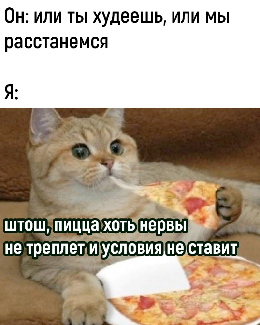 Без сомнений