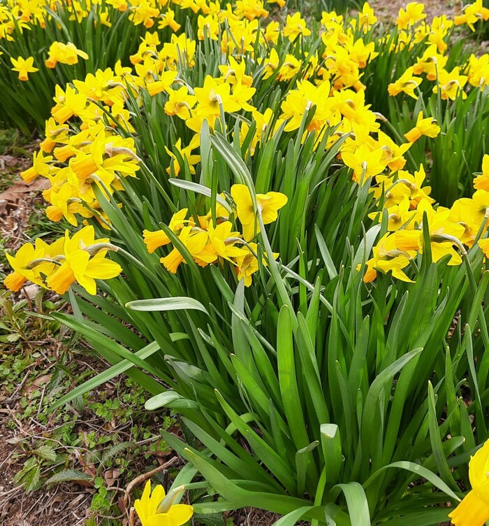 Чуть-чуть добра