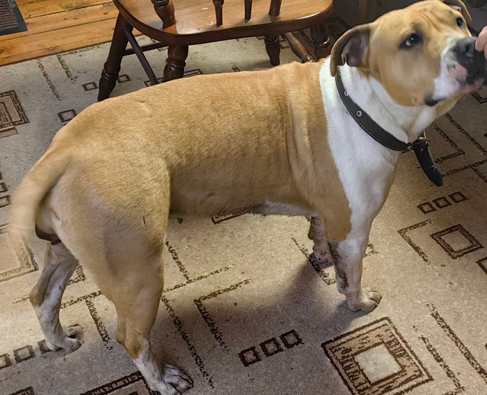 ����� ���� �� ������ � ������������