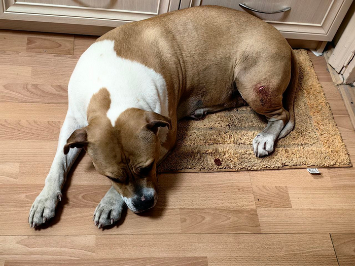 ����� �� ���� ��������, "�����" ������. �������.