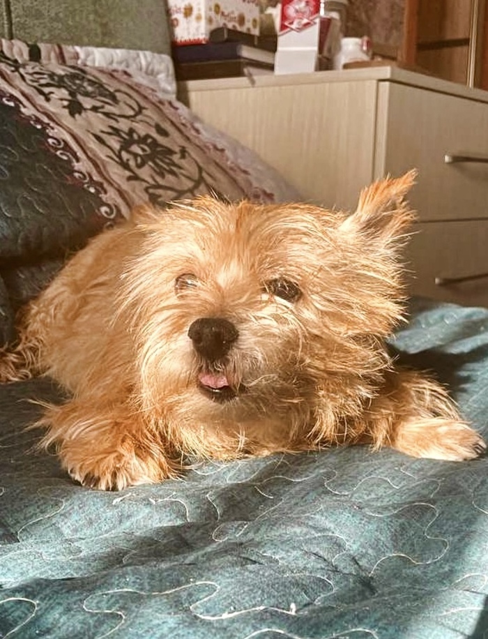 ��������� �����