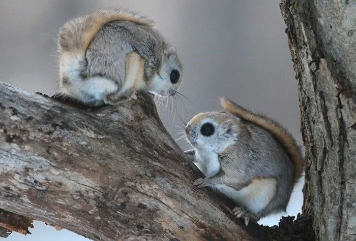 Тем временем ведущий жмёт Саню*