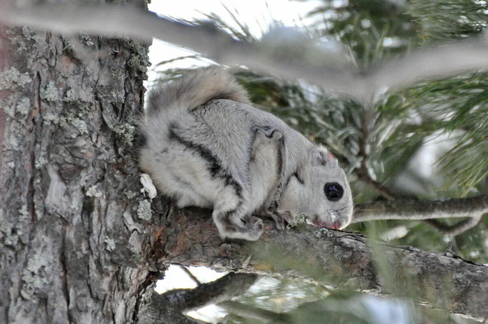 -Да сменил...
