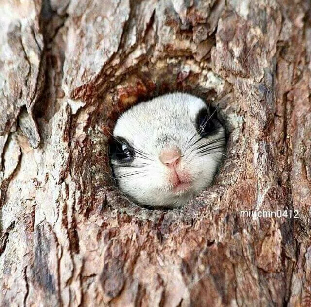 Боря тут... А ты уверен что вылезешь?