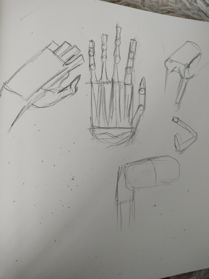 Анатомия, учеба | Пикабу