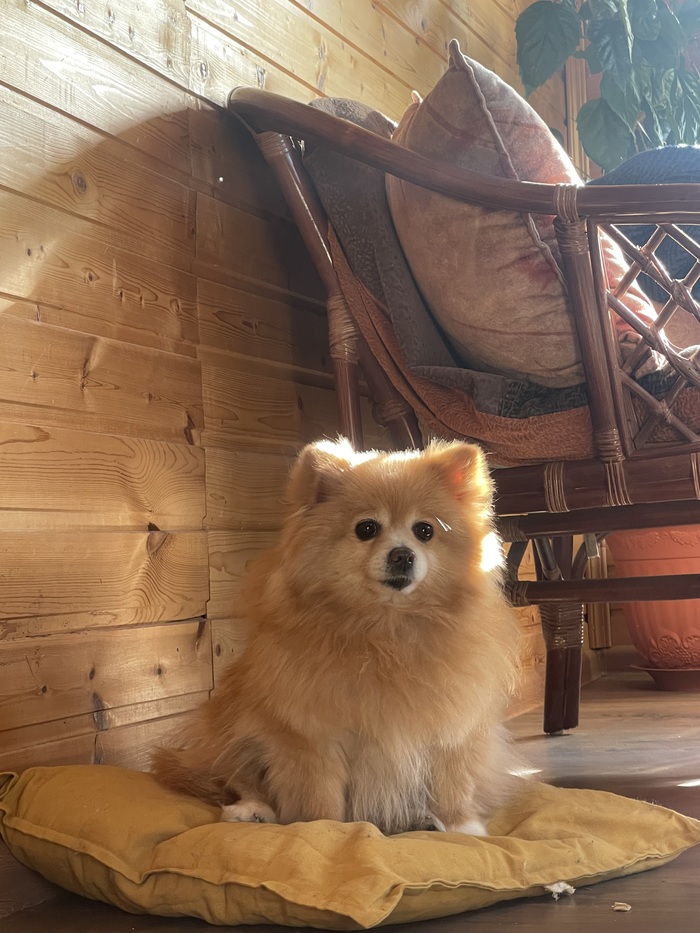  9-  ,       .    ,     24/7